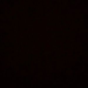 Meet your Posher, Ava